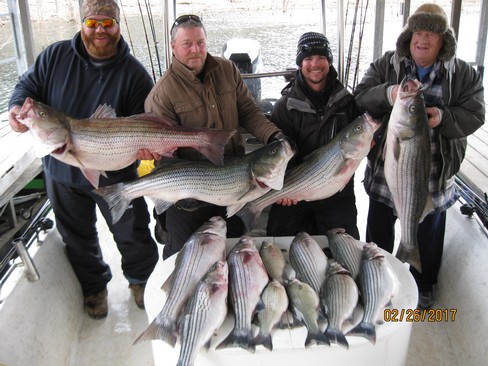 Nice Striped Bass